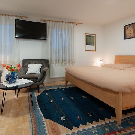 Homely Apartment In The Center With Garden View Гмунден Экстерьер фото