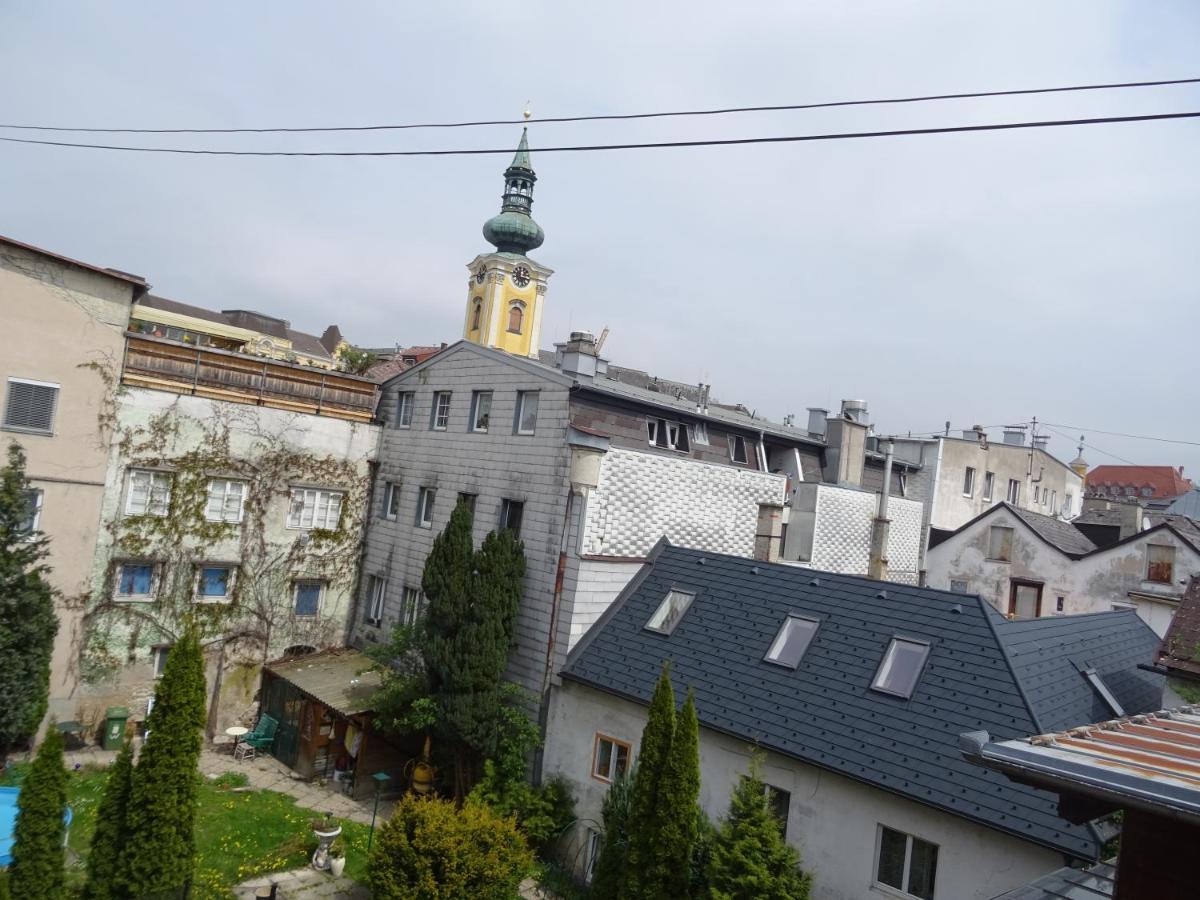 Homely Apartment In The Center With Garden View Гмунден Экстерьер фото